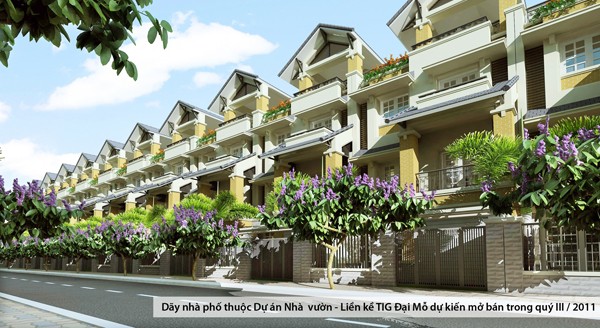 TIG, bông sen trên sàn niêm yết ảnh 1